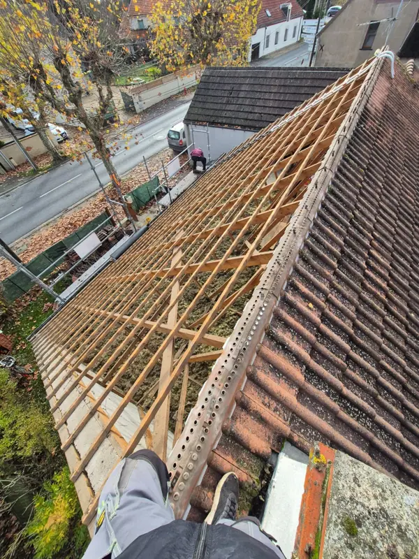 Liteaunage neuf vu depuis le faîtage