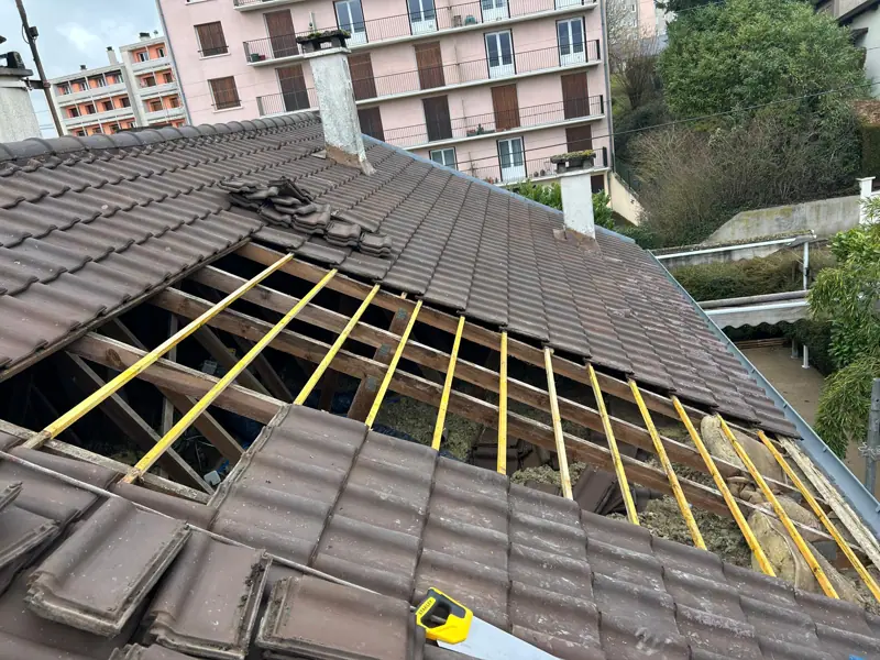 Dépose de tuiles béton en fin de vie
